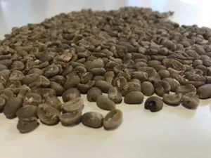 UG1 (Ungraded Heavy)