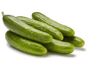 Cucumber (Cucumis sativus)
