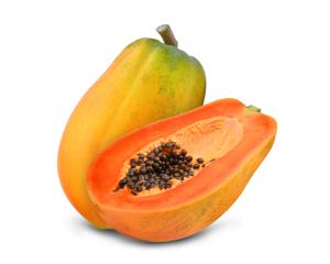 Paw paw (Carica papaya)
